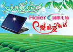 茶叶电脑海报
