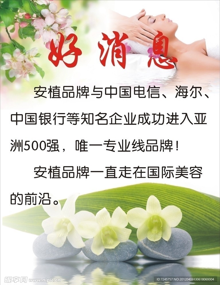 美容写真