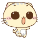 CC猫运动表情