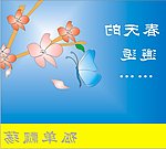 春天的邂逅 孤单