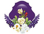 花花世界