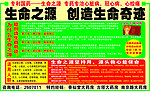 生命之源