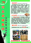 桌峰公司简介