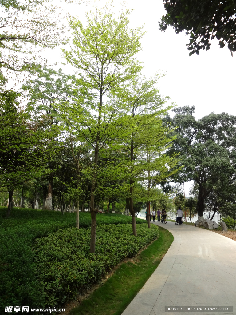 公园小路