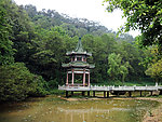 林中亭阁