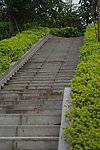 公园楼梯