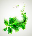 绿叶背景