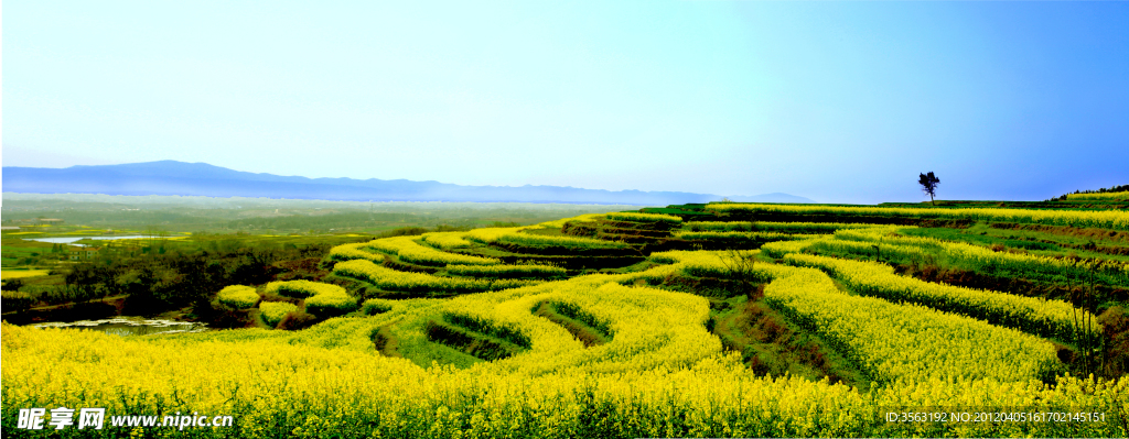 田园风光