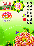 牡丹花会