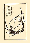 国画静物