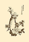 国画静物