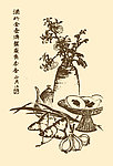 马骀画宝