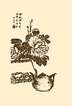 国画静物