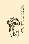 奇石