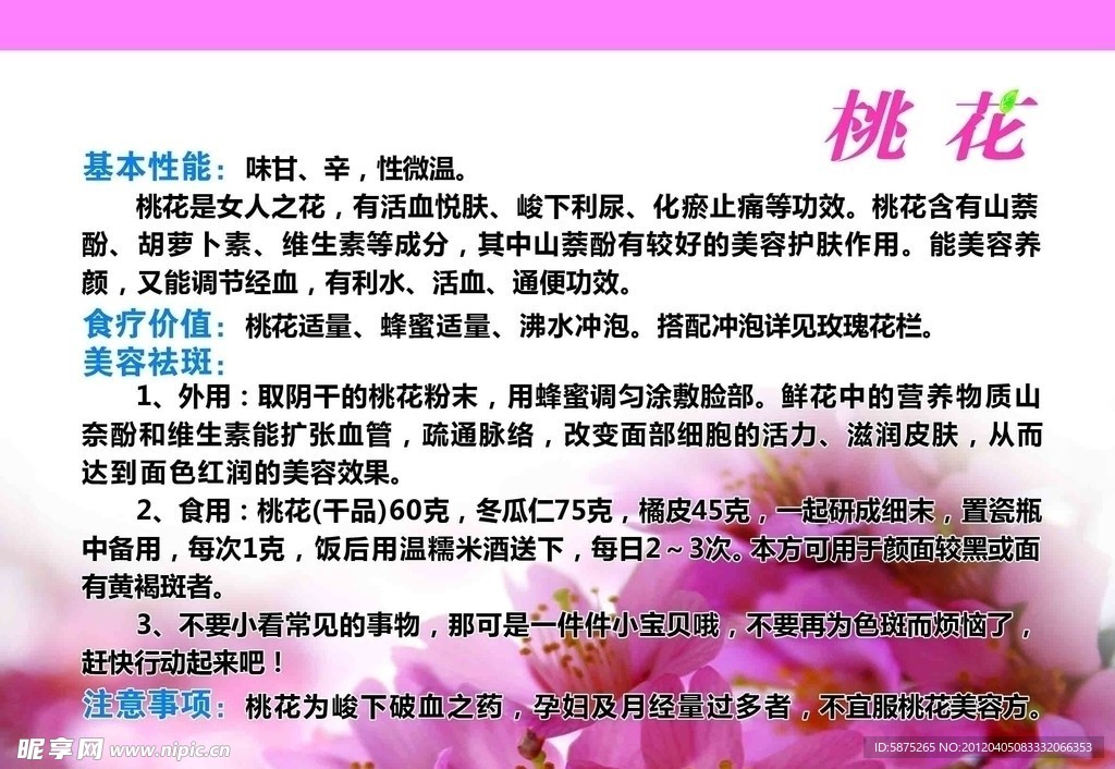 花草茶 桃花