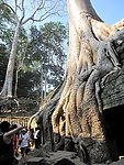 泰国风景