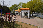 柳堤的长廊