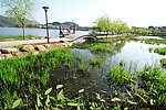 灵湖公园