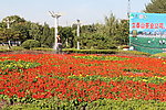 旅游摄影
