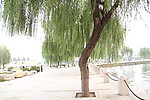 旅游摄影