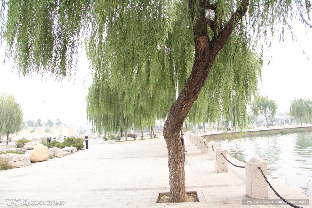 旅游摄影
