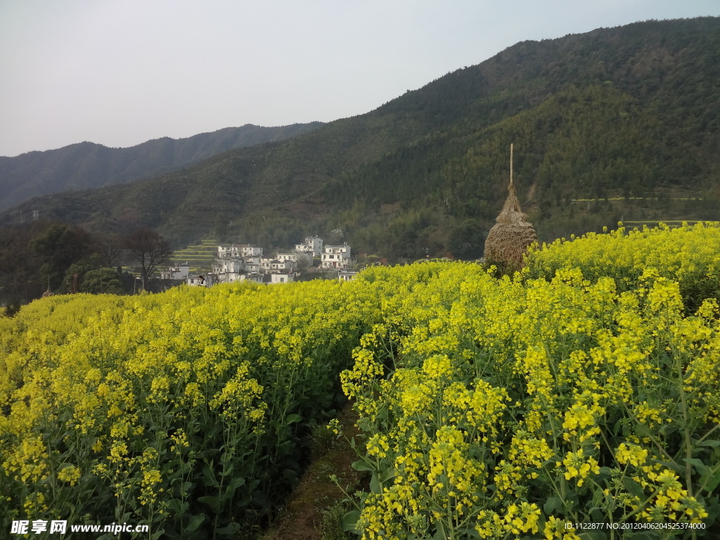 婺源风光
