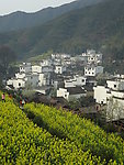 田园风光
