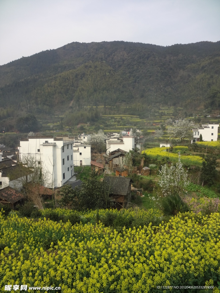 婺源田园