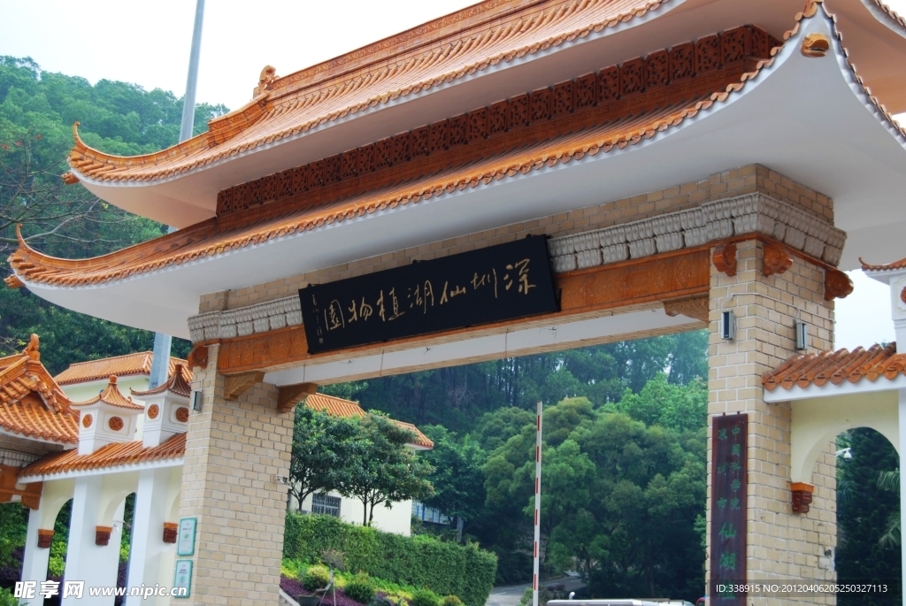 深圳仙湖植物园风景