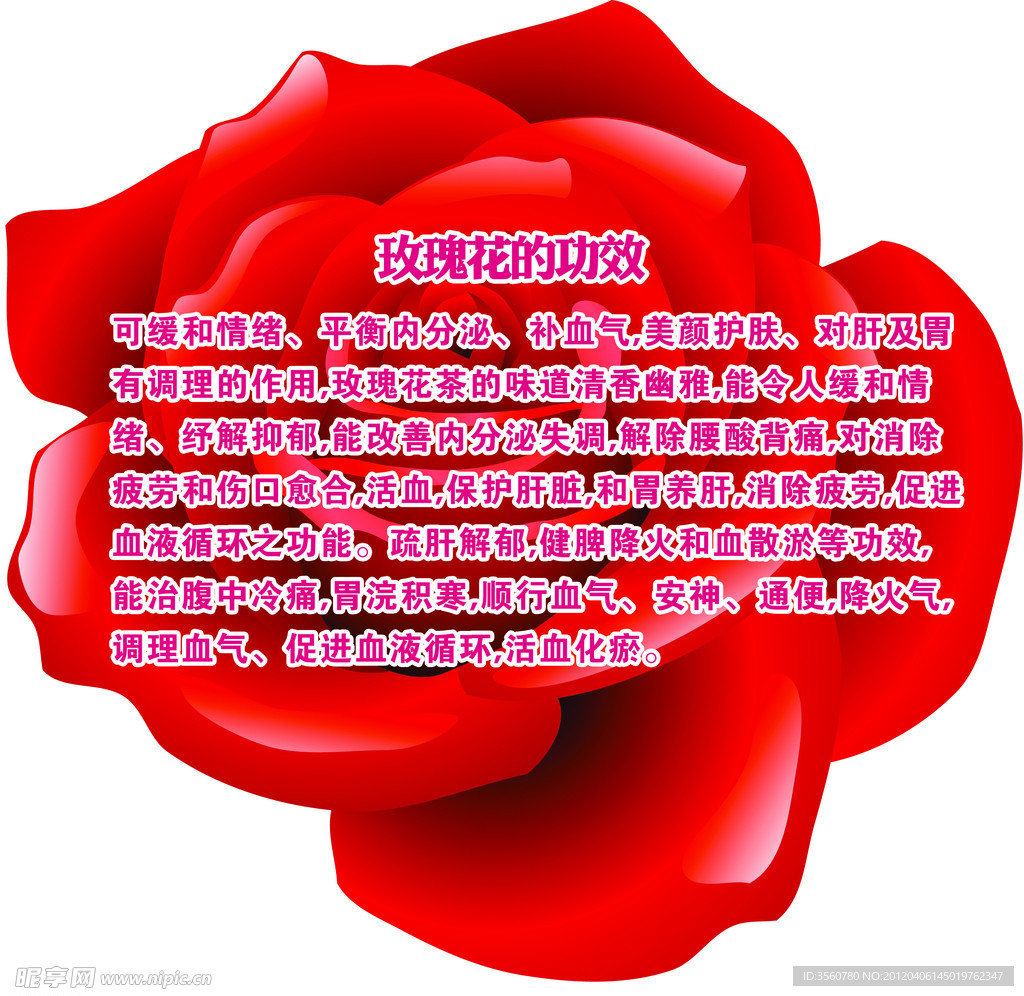 玫瑰花