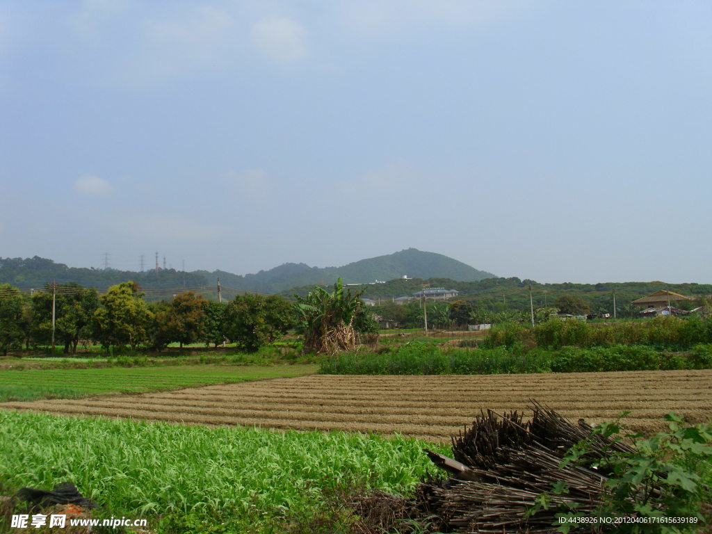 田园风光