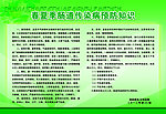 健康知识宣传栏