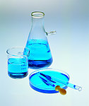 生物学