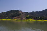 黄山