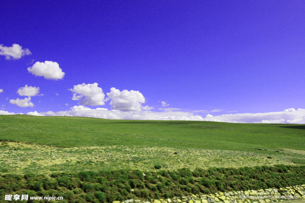风景