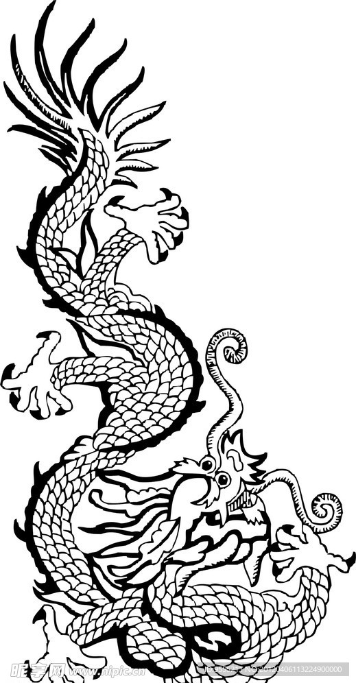 矢量龙