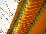 满堂红 屋檐