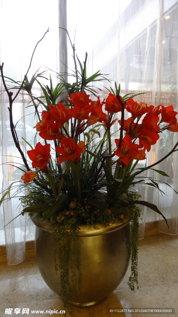 插花