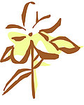 花叶线描