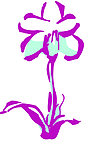 花叶线描