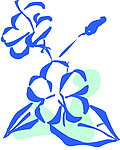 花叶线描