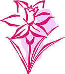 花叶线描