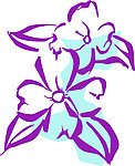 花叶线描