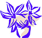 小花线描
