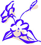 小花线描