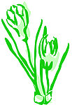 小花线描