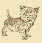手绘小猫矢量