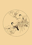 玉兰
