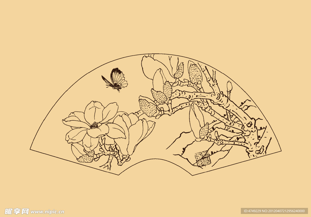 玉兰
