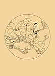 玉兰